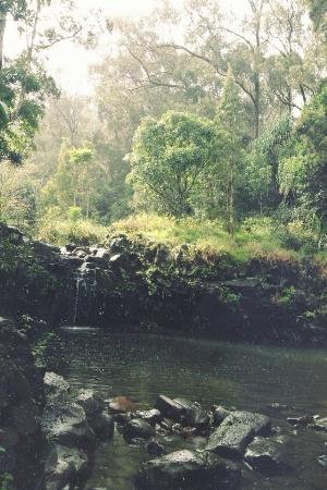 31 - wM34J2H.jpg Android HD Nature Wallpapers